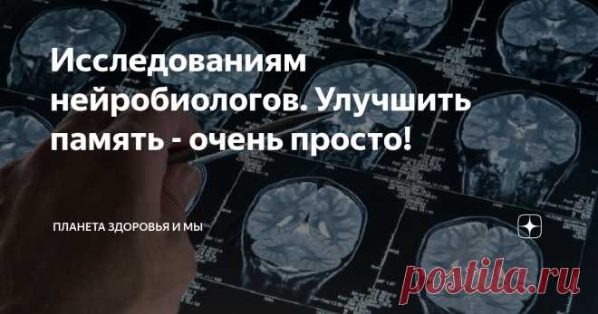 Исследованиям нейробиологов. Улучшить память - очень просто! Статья автора «Планета здоровья и мы» в Дзене ✍: Не секрет, что с возрастом может наблюдаться ослабление когнитивных функций и ухудшение памяти.