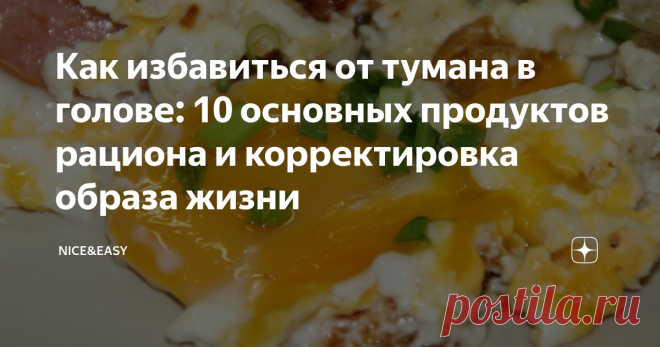 Как избавиться от тумана в голове: 10 основных продуктов рациона и корректировка образа жизни Термин 