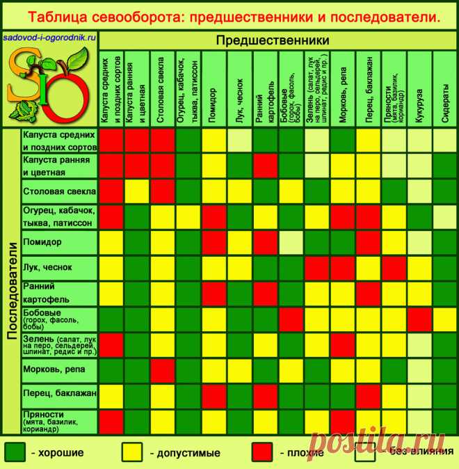 Севооборот овощных культур: таблица, предшественники овощей, организация чередования на даче