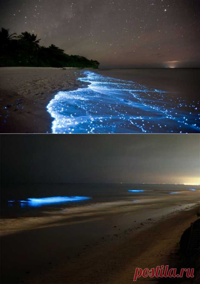 Светящийся планктон на пляже острова Ваадху. (6 фото)
