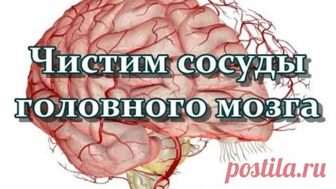 Чистим сосуды головного мозга - лучшие рецепты