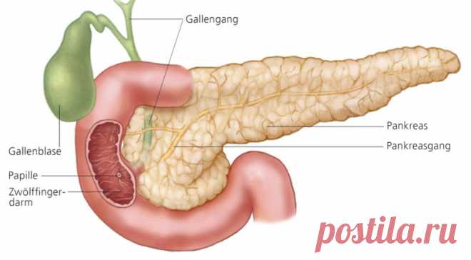 Хронический ПАНКРЕАТИТ: лечение и диета | Диеты со всего света