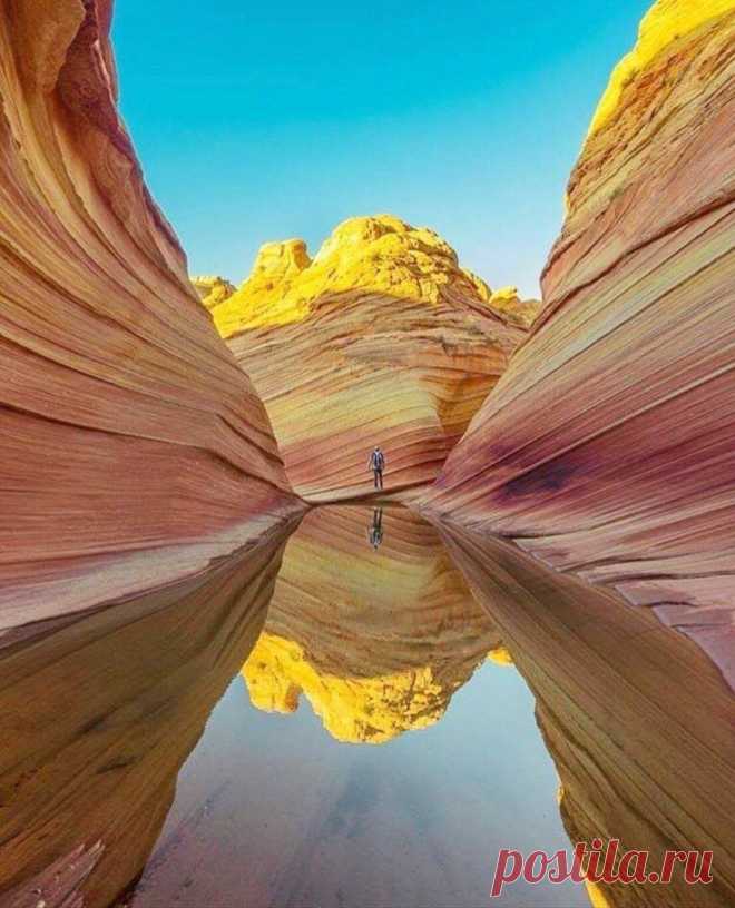 Удивить удивительный. Каньон волна Аризона США. Невероятные пейзажи. Удивительная Планета. "Волна" в Аризоне, США.