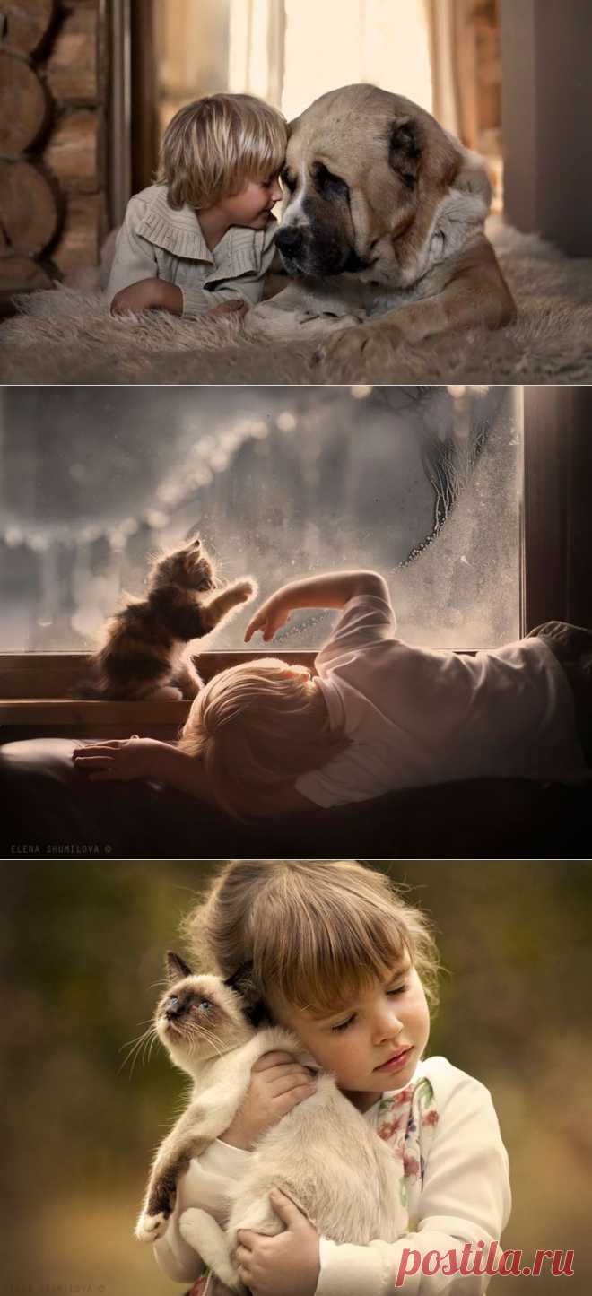 Россиянка создает потрясающие фотографии своих детей с животными в деревне • НОВОСТИ В ФОТОГРАФИЯХ