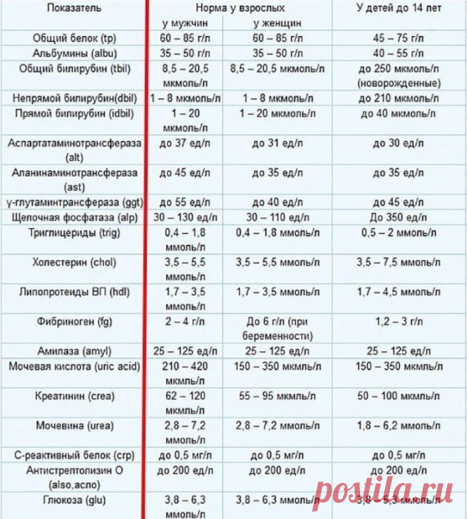 Норма биохимического анализа крови