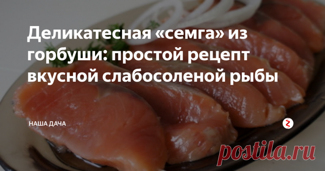 Деликатесная «семга» из горбуши: простой рецепт вкусной слабосоленой рыбы | Наша Дача | Яндекс Дзен