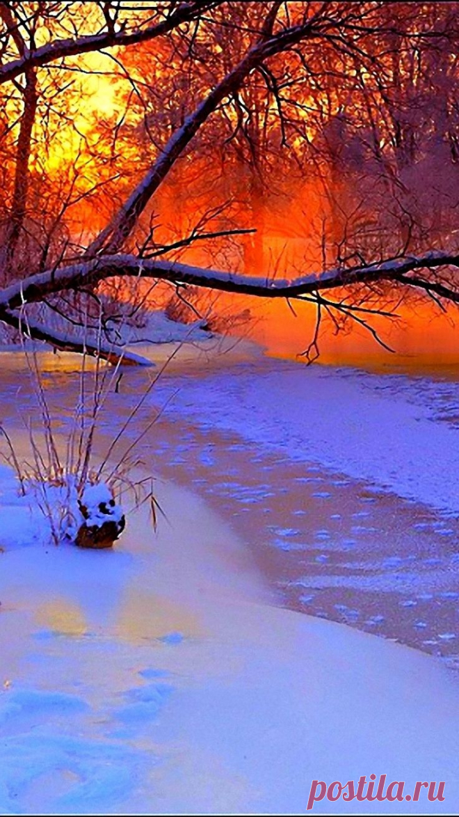 winter, sunset, evening, branches, tree, pond, cold, snow  |  Найдено на сайте wallpaperscraft.com.