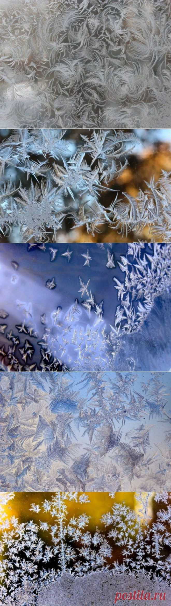 (+1) тема - Морозные узоры на окнах | ЛЮБИМЫЕ ФОТО