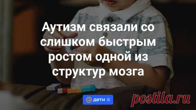 Аутизм связали со слишком быстрым ростом одной из структур мозга Это происходит очень рано, в период между шестью месяцами и годом.