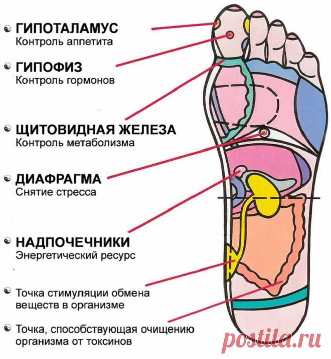 Рефлексология стопы: эти 7 активных точек способны вернуть тебя к жизни за пару минут!