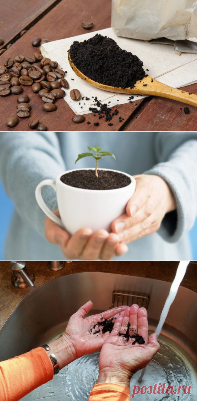 15 гениальных способов повторного использования кофейной гущи по всему дому
