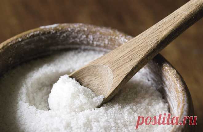 Соль как показатель ума и другие особенности соли