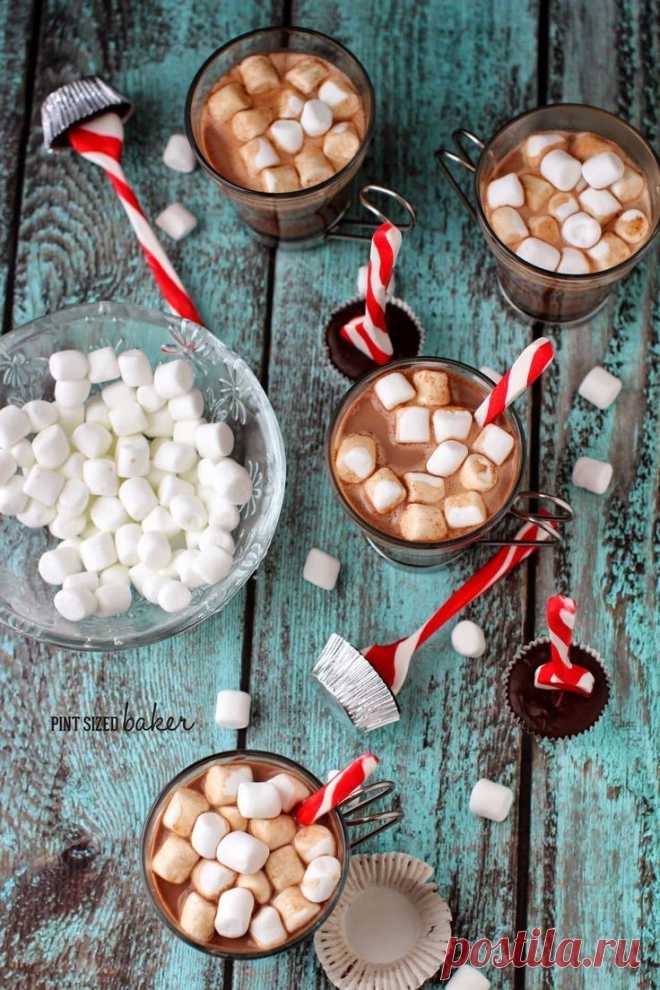 Stove-top Hot Chocolate with Peppermint Dippers