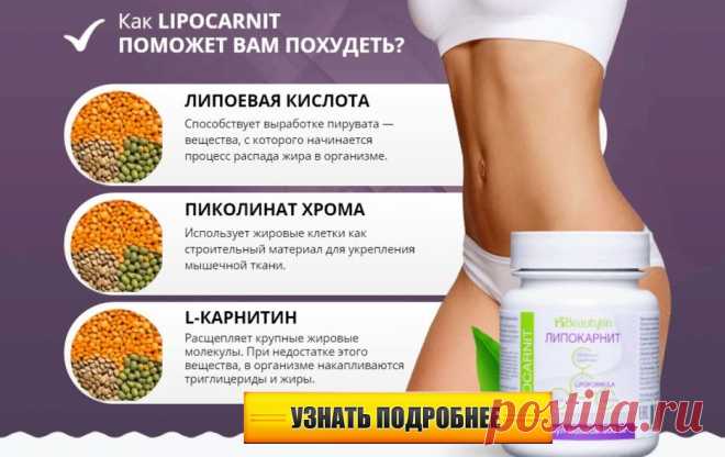 Lipocarnit — первый в СНГ запатентованный комплекс для комфортного похудения