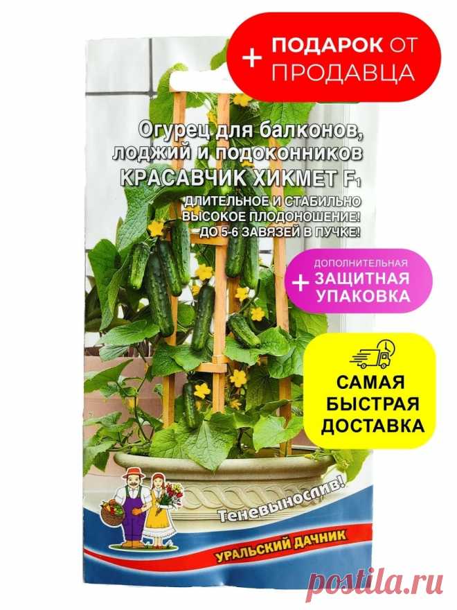 Огурец для балконов красавчик Огород без хлопот - информационный сайт для дачников, садоводов и огородников.