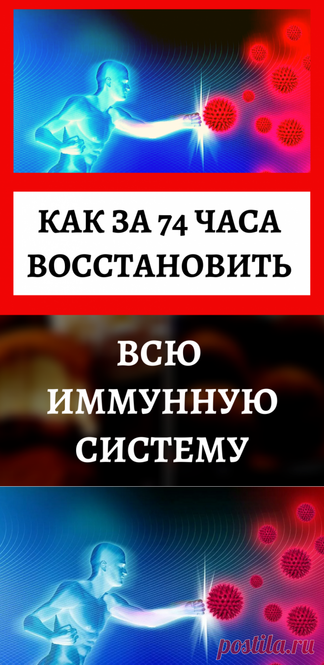 Как за 74 часа восстановить всю иммунную систему