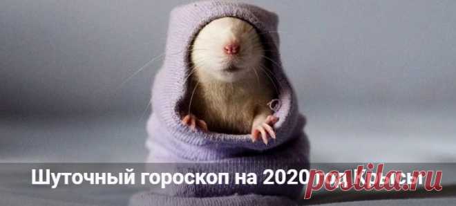 Шуточный гороскоп на 2020 год Крысы: в стихах и прозе