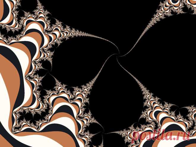 Brown Fractal Spirals  Free Stock Photo HD - Public Domain Pictures