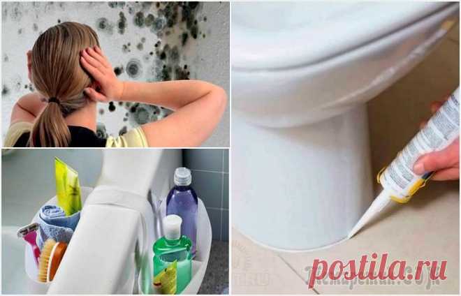 8 советов, которые помогут защитить ванную комнату от вражеской плесени и грибка Ванная комната - потенциальное место появления грибка и плесени. Повышенная влажность - наиболее благоприятное условие для распространения этой заразы. Но можно найти и на нее управу. Мы подобрали 8 с...