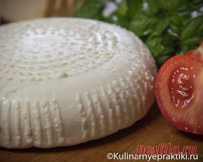 Самый простой домашний сыр. 2 способа приготовления адыгейского сыра в городских условиях из пастеризованного молока | Кулинарные практики | Дзен