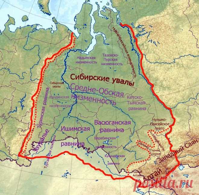 Большое Васюганское болото - природный феномен, не имеющий аналогов в мире!