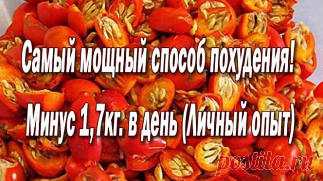 Самый мощный способ похудения! Минус 1,7кг. в день (Личный опыт) — Полезные советы