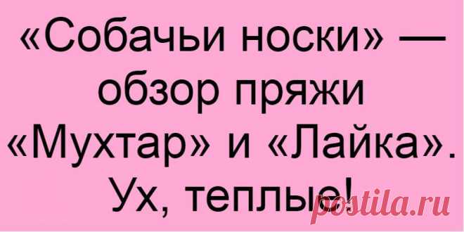 «Собачьи носки» — обзор пряжи «Мухтар» и «Лайка». Ух, теплые!