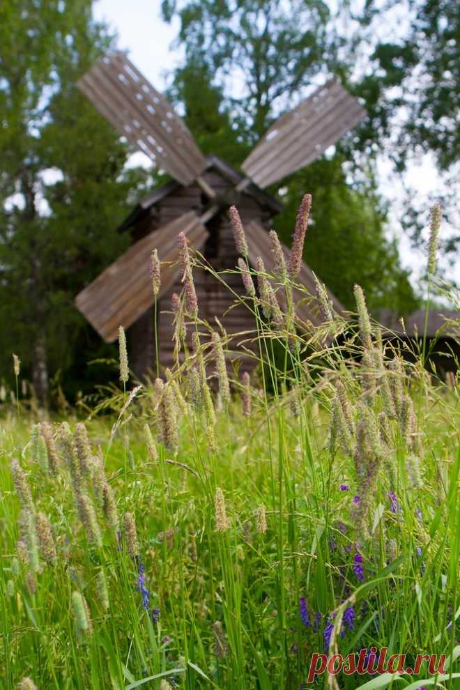 Избранное - 1473 фото. Фотографии Lyboznatelnyi UMNIK.