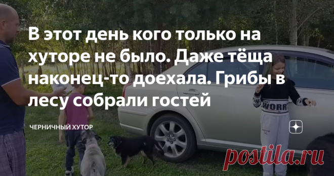 В этот день кого только на хуторе не было. Даже тёща наконец-то доехала. Грибы в лесу собрали гостей