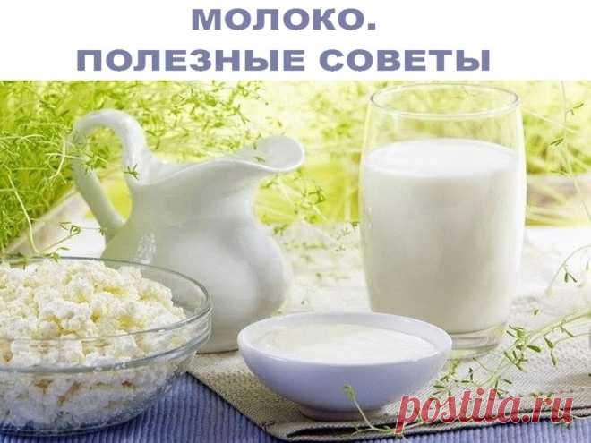 МОЛОКО | Полезные советы!