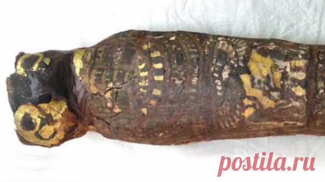 Что на самом деле скрывает в себе египетская «мумия сокола»