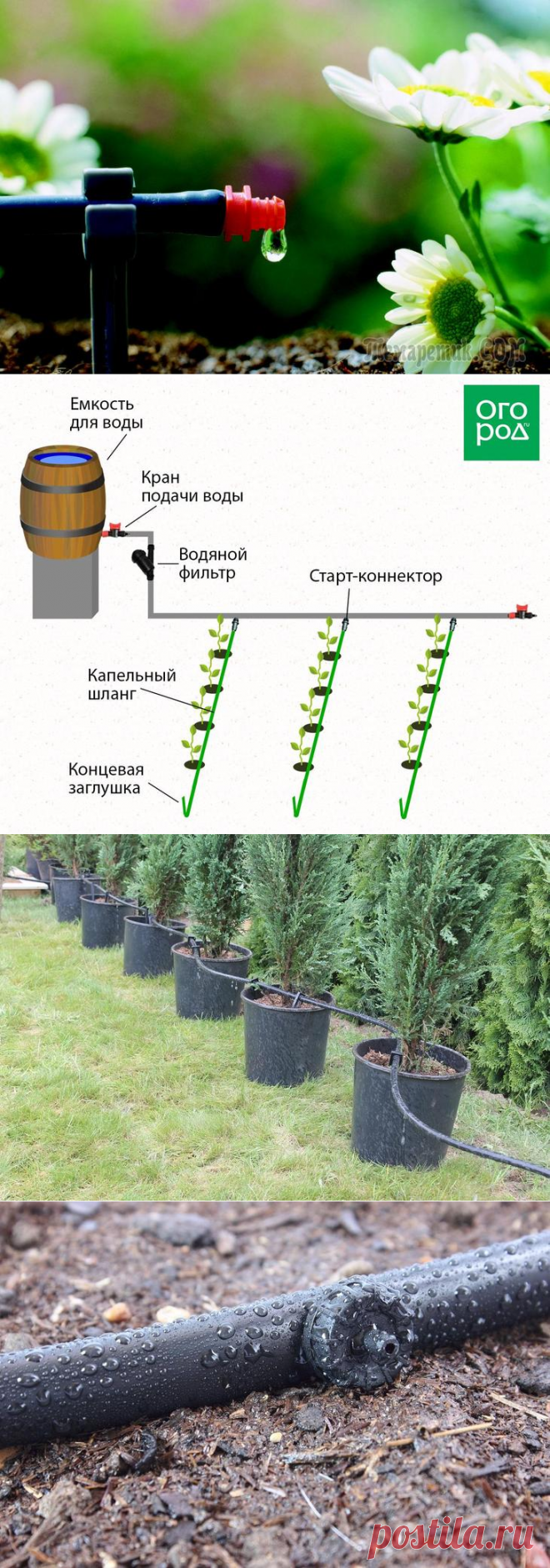 Несколько идей, как сделать капельный полив на даче своими руками