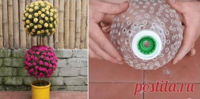 Креативное использование пластиковых бутылок для крутого живого декора.