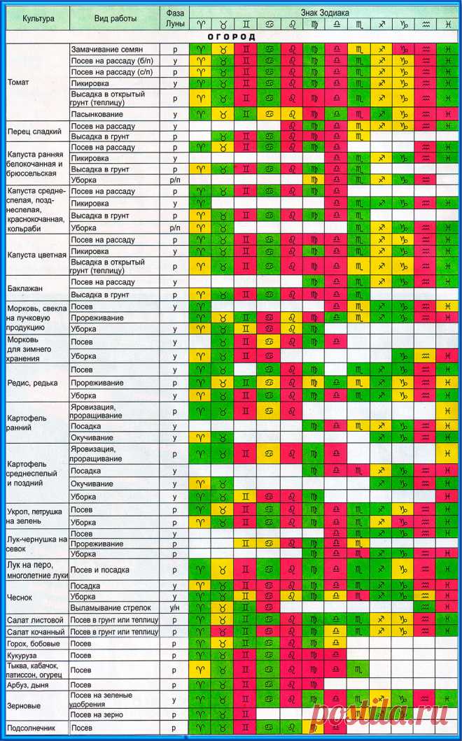 Агротехническая таблица на все годы | Рассада — чемпион