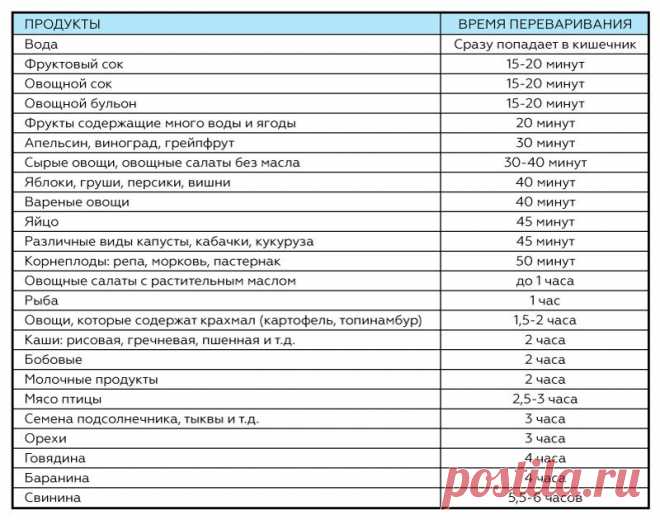 Время переваривания пищи