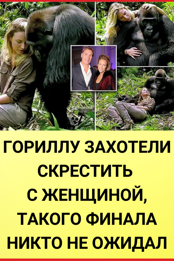 Тетя горилла если хотите стать сильными детки. Горилла и женщина. Гориллу скрестили с женщиной. Баба с гориллой. Скрещивание горилл.