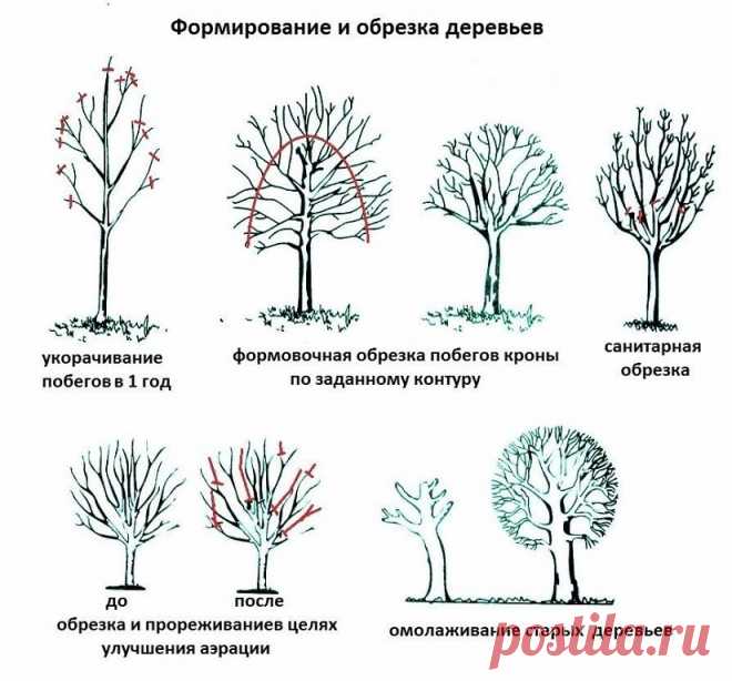 (64) Одноклассники