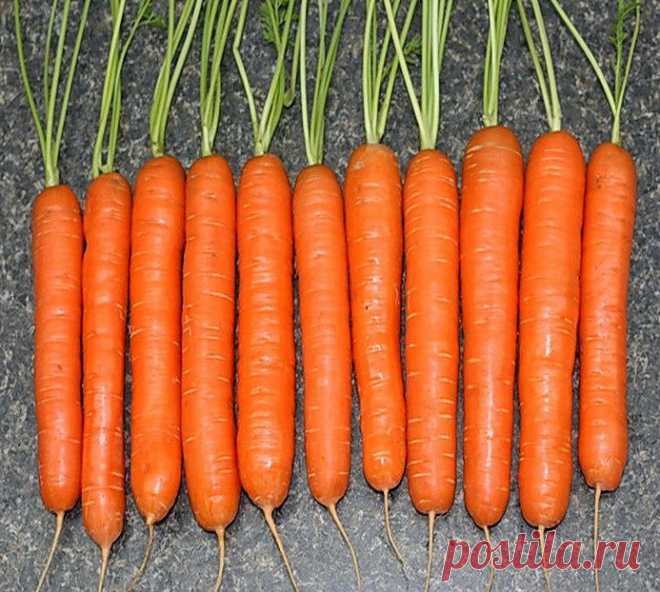 Секрет выращивания моркови от Валентины Стальмаховой.