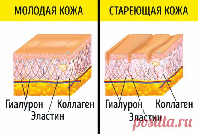 9 добавок, которые работают лучше и стоят дешевле любого крема от морщин