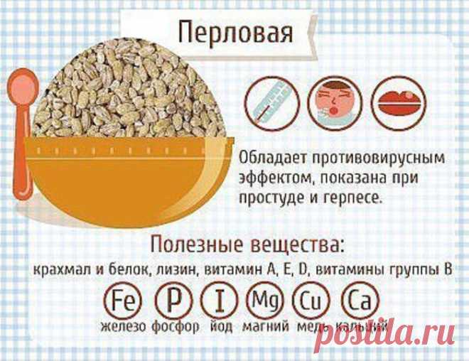 Вы едите каши? А знаете ли Вы почему они полезны и как их употребление может повлиять на организм?