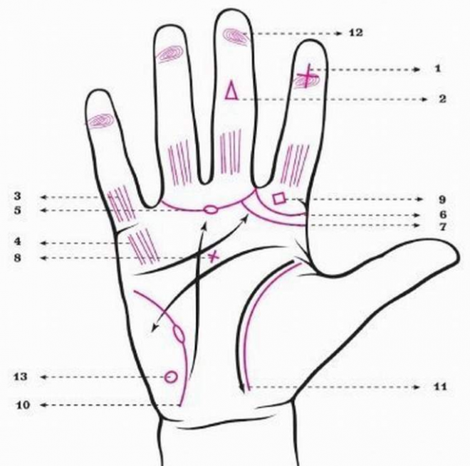 13 знаков экстрасенсорных способностей на ладони / Мистика