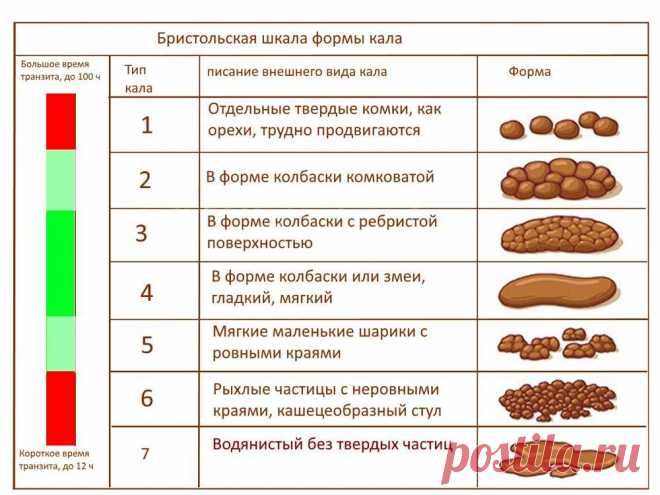 О чем расскажет ваш стул? Виды кала при заболеваниях кишечника