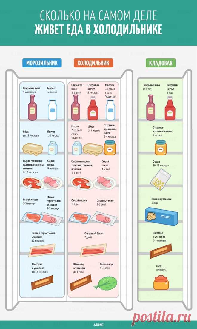 Сколько на самом деле живет еда в холодильнике