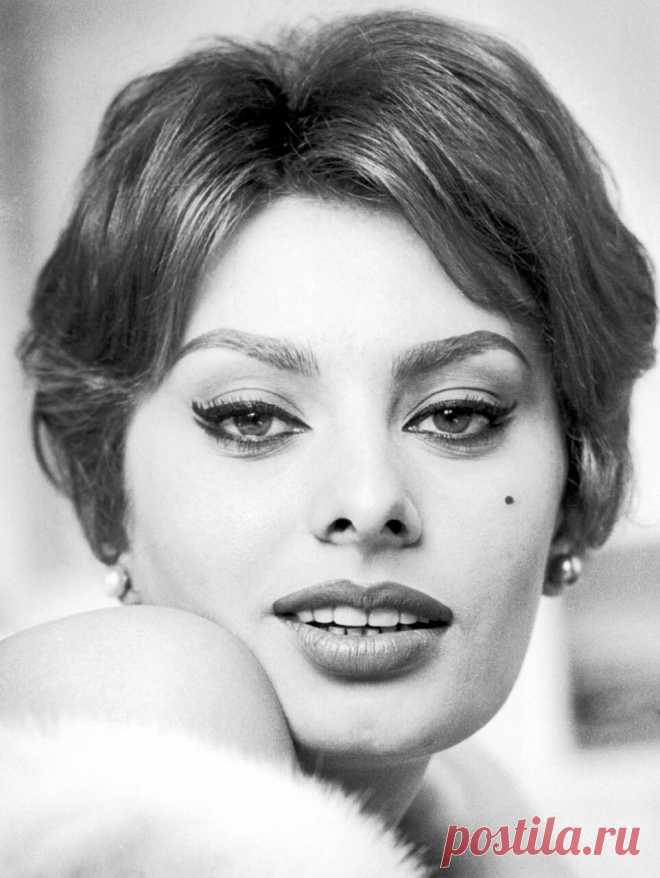 The special edition: Sophia Loren: humus — ЖЖ