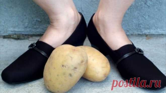 Зачем опытные хозяйки кладут чищенную картошку в обувь: совет, который пригодится каждому