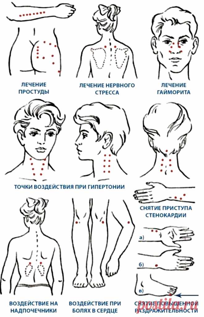 Точки воздействия на внутренние органы