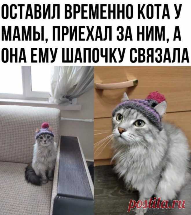 Шапочка с прорезями для ушек