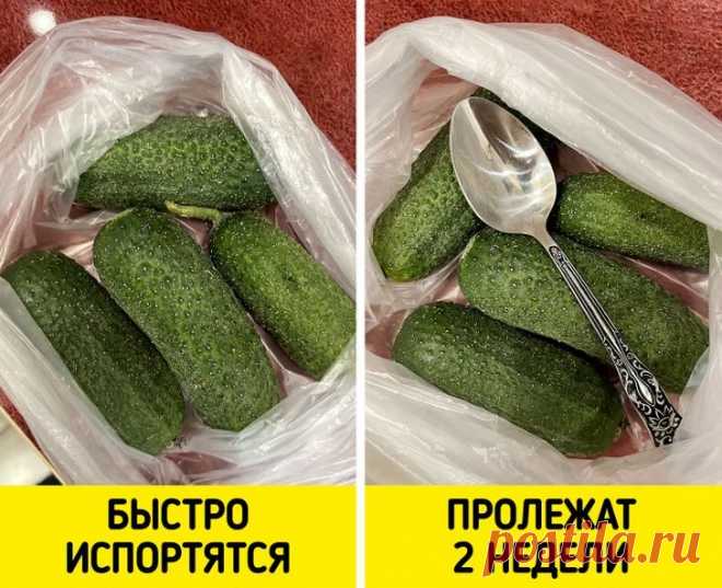 Способы хранения продуктов, которые кажутся абсурдными / Домоседы