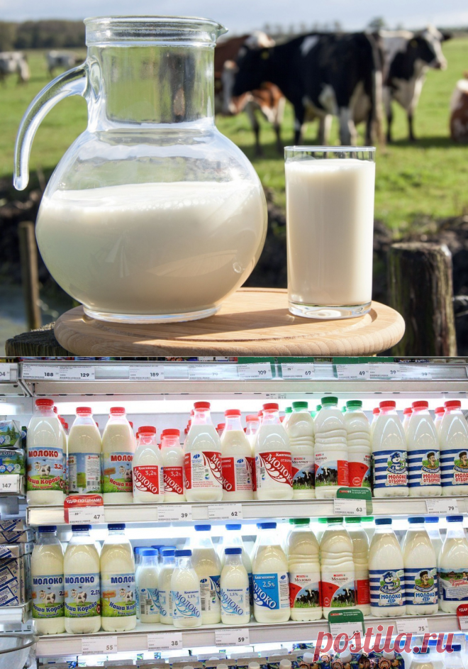 Из чего сейчас делают молоко на самом деле | Правильное питание | Таисия, 22 июля 2023