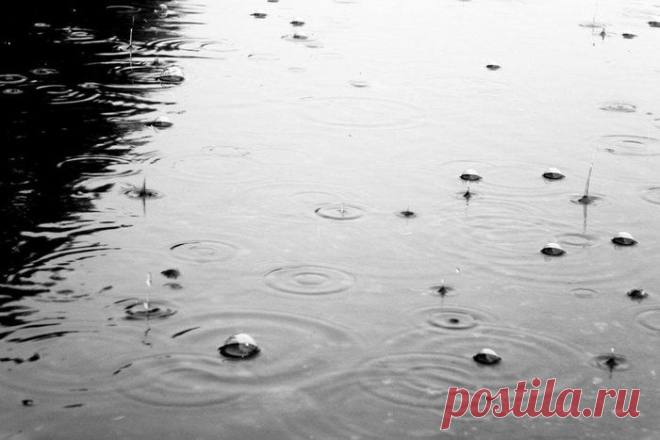 20 интересных фактов о дожде | Занимательный журнал